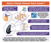 İşitme döngüsü_04.jpg